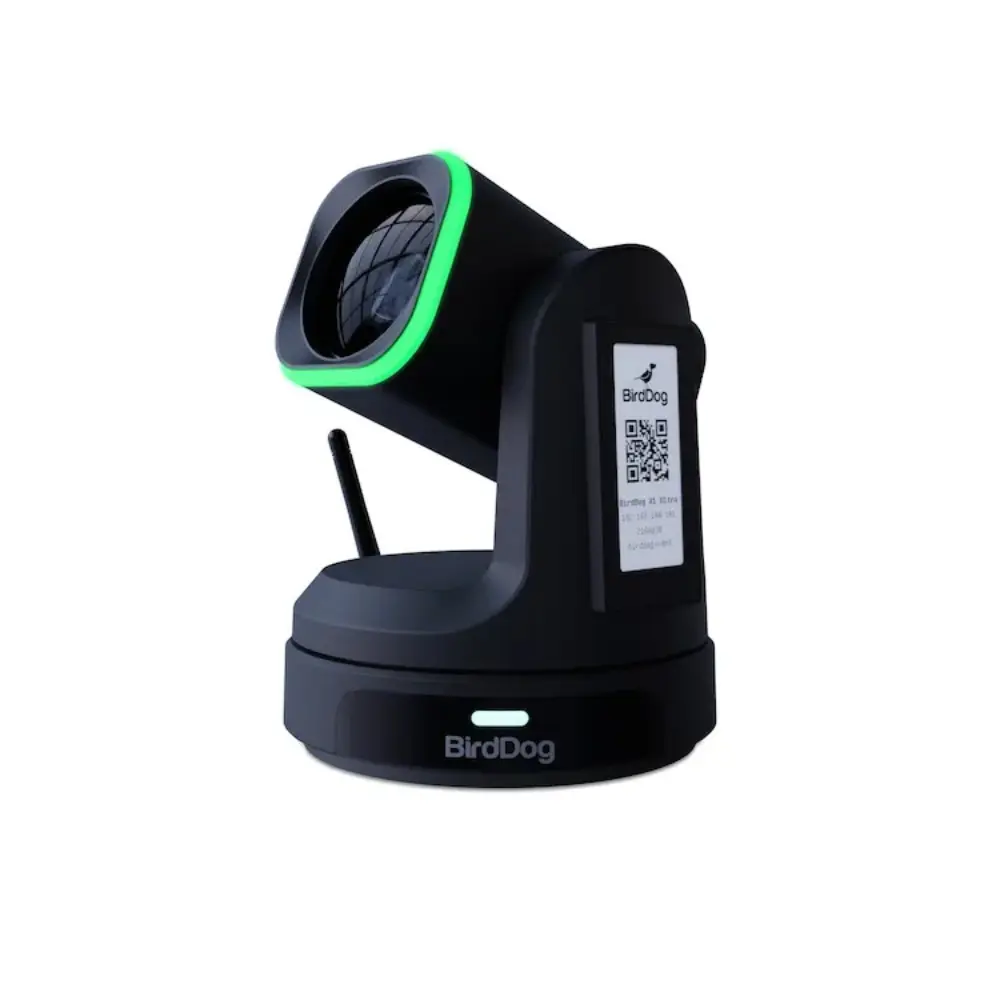 rkjzuhtjkuzfgz7 (3).webp