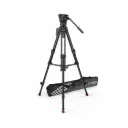 Sachtler System Ace M MS
